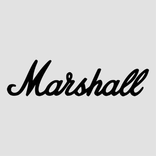 Marshall Acoustic Amps